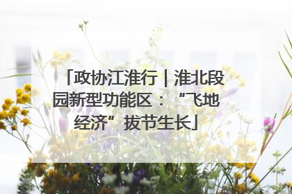 政协江淮行｜淮北段园新型功能区：“飞地经济”拔节生长