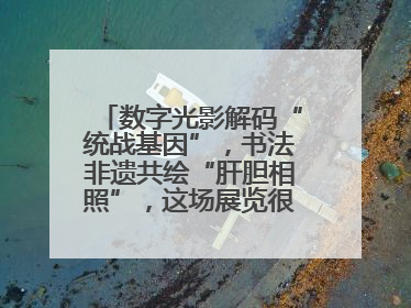 数字光影解码“统战基因”，书法非遗共绘“肝胆相照”，这场展览很有创意！