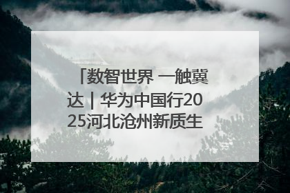数智世界 一触冀达｜华为中国行2025河北沧州新质生产力峰会成功举办