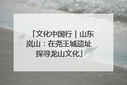 文化中国行｜山东岚山：在尧王城遗址探寻龙山文化