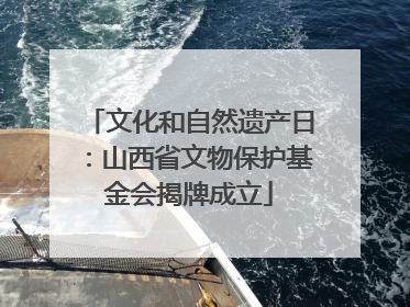 文化和自然遗产日：山西省文物保护基金会揭牌成立