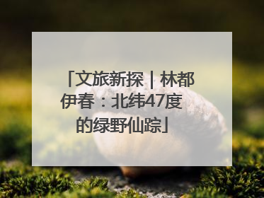 文旅新探｜林都伊春：北纬47度的绿野仙踪