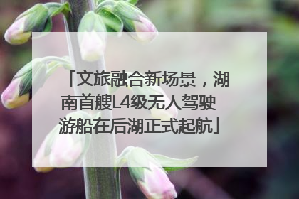 文旅融合新场景，湖南首艘L4级无人驾驶游船在后湖正式起航