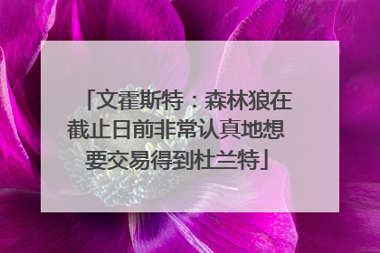 文霍斯特：森林狼在截止日前非常认真地想要交易得到杜兰特
