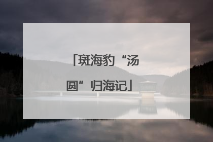 斑海豹“汤圆”归海记