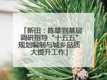 新田：陈雄到基层调研指导“十五五”规划编制与城乡品质大提升工作