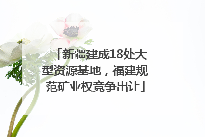 新疆建成18处大型资源基地，福建规范矿业权竞争出让