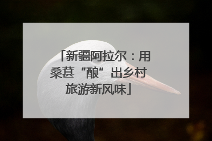 新疆阿拉尔：用桑葚“酿”出乡村旅游新风味