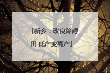 新乡：改良障碍田 低产变高产
