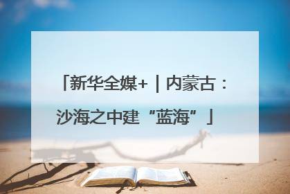 新华全媒+｜内蒙古：沙海之中建“蓝海”