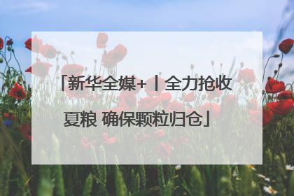 新华全媒+丨全力抢收夏粮 确保颗粒归仓