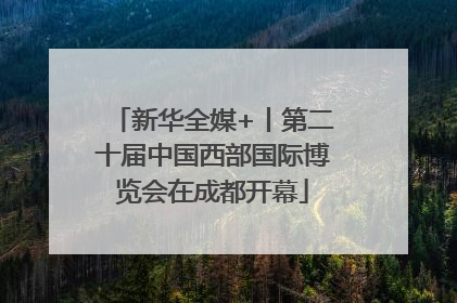 新华全媒+丨第二十届中国西部国际博览会在成都开幕