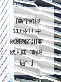 新华鲜报｜11万列！中欧班列跑出亚欧大陆“新时速”