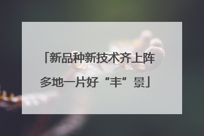 新品种新技术齐上阵 多地一片好“丰”景