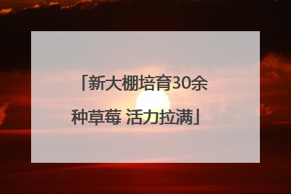 新大棚培育30余种草莓 活力拉满