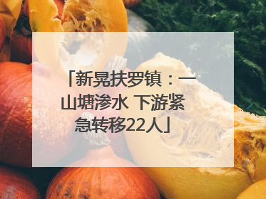 新晃扶罗镇：一山塘渗水 下游紧急转移22人