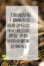 新闻发布丨德州市全面推进综治中心规范化建设 矛盾纠纷化解率达96%