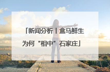 新闻分析丨盒马鲜生为何“相中”石家庄