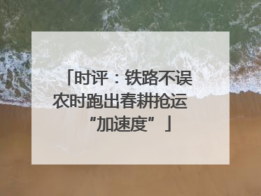 时评：铁路不误农时跑出春耕抢运“加速度”