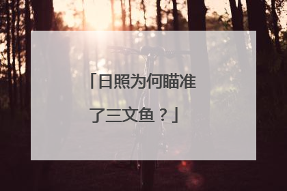 日照为何瞄准了三文鱼？