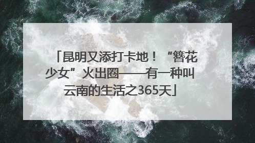 昆明又添打卡地！“簪花少女”火出圈——有一种叫云南的生活之365天