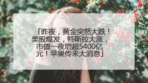 昨夜，黄金突然大跌！美股爆发，特斯拉大涨，市值一夜增超5400亿元！苹果传来大消息