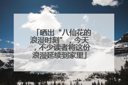 晒出“八仙花的浪漫时刻”，今天，不少读者将这份浪漫延续到家里