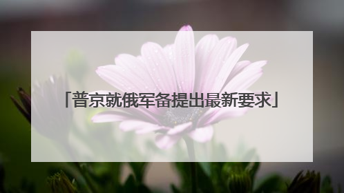 普京就俄军备提出最新要求
