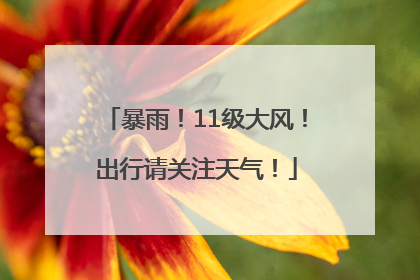 暴雨！11级大风！出行请关注天气！