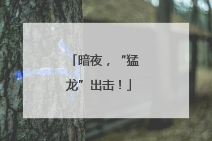 暗夜，“猛龙”出击！