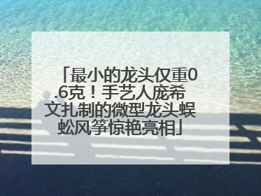 最小的龙头仅重0.6克！手艺人庞希文扎制的微型龙头蜈蚣风筝惊艳亮相