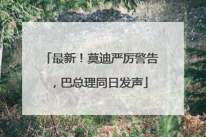 最新！莫迪严厉警告，巴总理同日发声