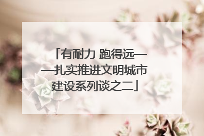有耐力 跑得远——扎实推进文明城市建设系列谈之二