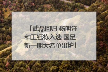 武磊回归 杨明洋和王钰栋入选 国足新一期大名单出炉