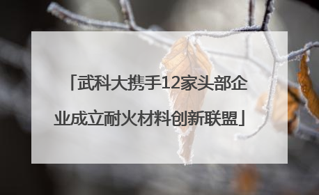 武科大携手12家头部企业成立耐火材料创新联盟