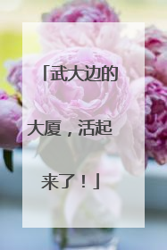武大边的大厦，活起来了！
