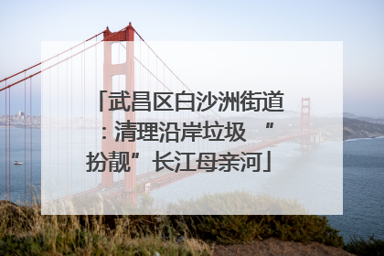 武昌区白沙洲街道：清理沿岸垃圾 “扮靓”长江母亲河