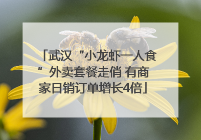 武汉“小龙虾一人食”外卖套餐走俏 有商家日销订单增长4倍