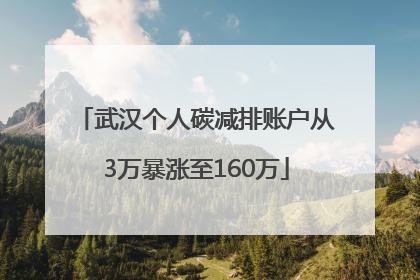 武汉个人碳减排账户从3万暴涨至160万