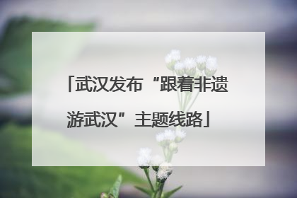 武汉发布“跟着非遗游武汉”主题线路