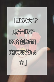 武汉大学·咸宁低空经济创新研究院签约成立