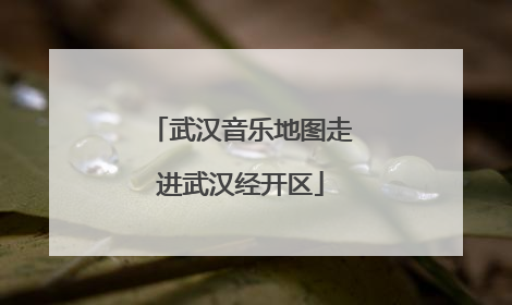 武汉音乐地图走进武汉经开区