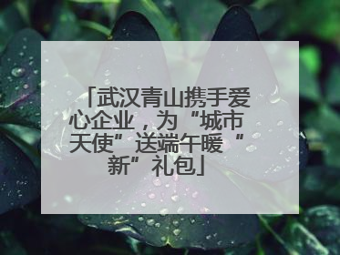 武汉青山携手爱心企业，为“城市天使”送端午暖“新”礼包