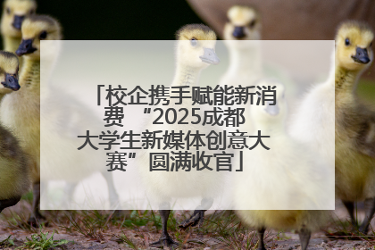 校企携手赋能新消费 “2025成都大学生新媒体创意大赛”圆满收官