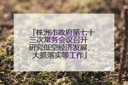 株洲市政府第七十三次常务会议召开 研究低空经济发展、大抓落实等工作