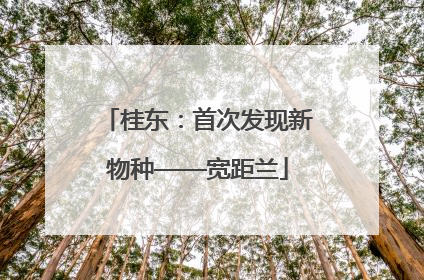桂东：首次发现新物种——宽距兰