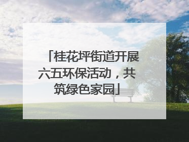 桂花坪街道开展六五环保活动，共筑绿色家园