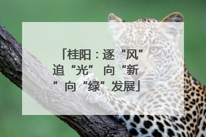 桂阳：逐“风”追“光” 向“新”向“绿”发展