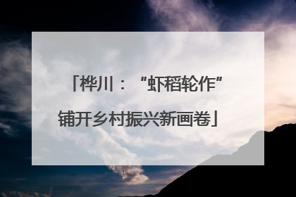 桦川：“虾稻轮作”铺开乡村振兴新画卷