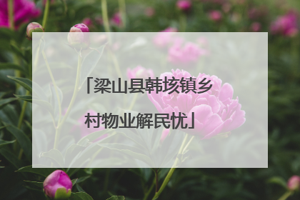 梁山县韩垓镇乡村物业解民忧